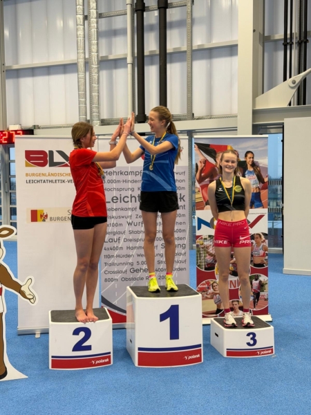 681387b4-1418-40bd-a955-527a40ddf7a1